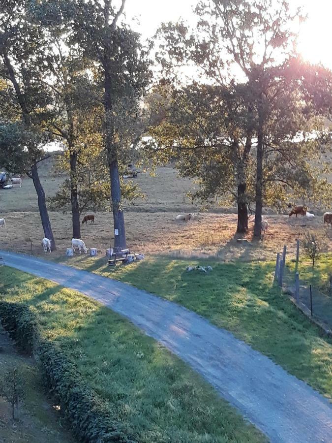An Den Elbwiesen Gaestezimmer "Weissstorch" Nur Nichtraucher Dommitzsch Exteriör bild
